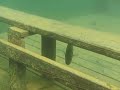 Tennessee Video
