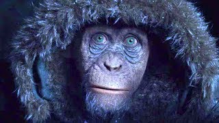映画『猿の惑星：聖戦記(グレート・ウォー)』“バッド・エイプ”特別映像