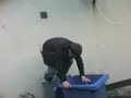 Bin diving Bin diving