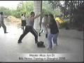 videos de Lung-Hsing Bagua Zhang,8