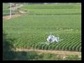 videos de amazing.wmv