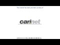 Cari.net -Adding your Logo & Changing Skins In PLESK