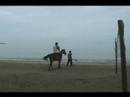 Giddy Up....Junior riding a horse at Nadi