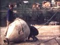 video Otvoritev mosta med...