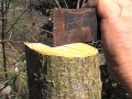 Guarda video