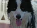 Supernatural - Unseen Power of Animals: The Bee Man Supernatural - Unseen Power of Animals: The Bee Man