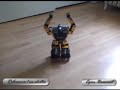 Robonova-1 on skates I