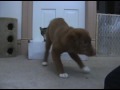 Lance and Vito Recap 2009