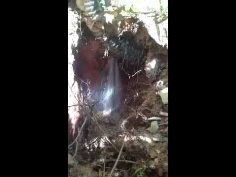 how to clean up a water leak