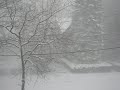 Thunder Snow Storm