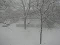 Thunder Snow Storm