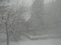 Thunder Snow Storm