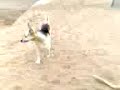 mas playa dps d la fiesta d egresadps