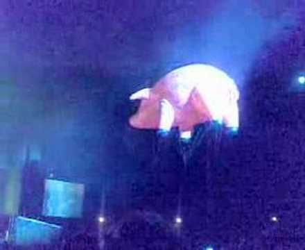 Pigs Will Fly ("Sheep", Rogers ...