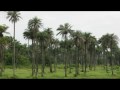 Senegal