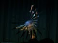 Meeting Travis Wall and Ivan Koumaev Meeting Travis Wall and Ivan Koumaev