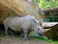 Gardaland Zoo in Affi Gardaland Zoo in Affi