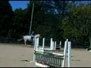 Tribiani Course
