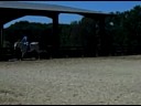 Tribiani Course