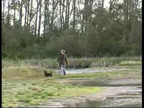 Wandelen in de Wilhelminapolder