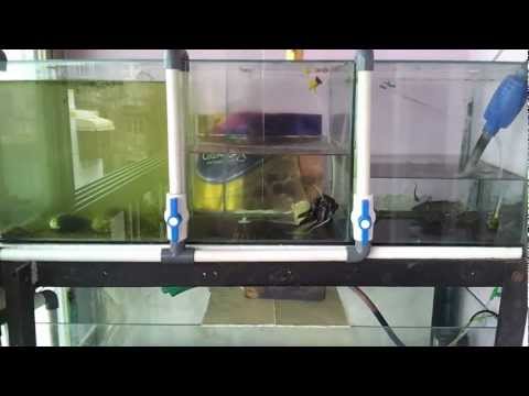 how to drain aquarium