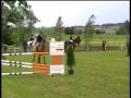 videos de Candy Man 9 yo Holsteiner gelding just arrived from Germany