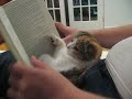 Kitty eager to finish War and Peace http://t.co/XTcXCb75
