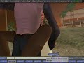 Machinima Help Island: Hiding the Interface