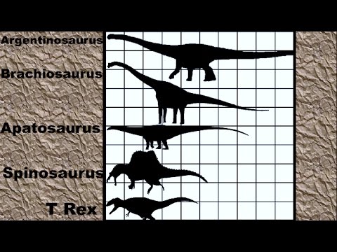 size comparison - A single shot comparison of many popular dinosaurs from Microraptor to Amphicoelias. Includes a full view shot towards the end. Do watch in at least 720p HD ...