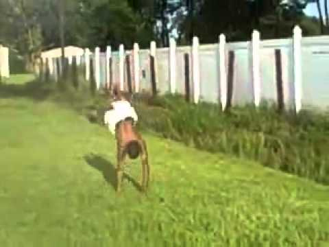 b.boys aka backflip boys-Lil Strukk