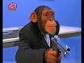 Don-Revisited-Trailor....(Eng-Version)