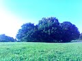RHEINAUE BONN SEPTEMBER08