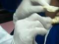 biolab shark lecture part 1/4