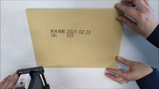 動画