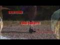 LOST IN MONTANARO - Andrea Canepari - Concorto