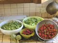 Self-sufficient Small Farms Self-sufficient Small Farms