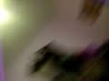 Thumbnail #3