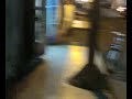 احد افراد الامن السياسي اثناء مراقبة حسن باعوم