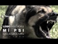 HRVC RXKV - Mí Psi (Czech Made Man Mixtape) 420 G+NG RADIO LEAK!