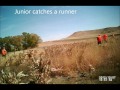 South Dakota Pheasant Hunt at Century Farm Hunts