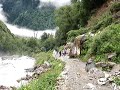 Alaknanda in full force:On the way to Ghangaria(Govind Dham)
