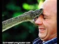 Funny and Amazing picture slideshow!