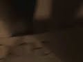 Videoclip - Un velero llamado libertad (cover)