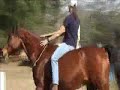 Bridleless Barrels with Shoki Bridleless Barrels with Shoki
