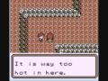 Pokemon Team Rocket 3: Hey! The same cave!