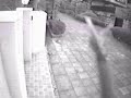 Friendly neighbor lady tosses cat poop in front of our house (hidden camera)