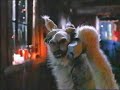 La llama que llama 19 - Documental (bonus)