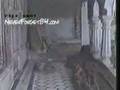 Lahoo simda punjab - part 3
