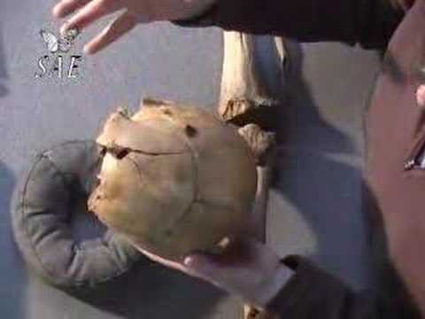 Fallen Inca Warriors - 1536 Siege of ...