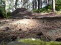 videos de Nath at kingsford dh track